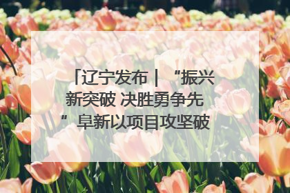 辽宁发布｜“振兴新突破 决胜勇争先”阜新以项目攻坚破解发展瓶颈 经济发展实现良好开局