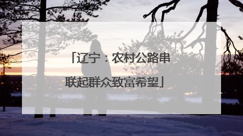 辽宁：农村公路串联起群众致富希望