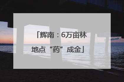 辉南：6万亩林地点“药”成金