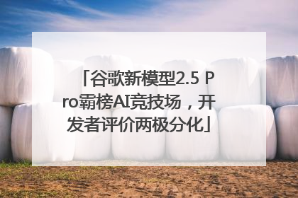 谷歌新模型2.5 Pro霸榜AI竞技场，开发者评价两极分化