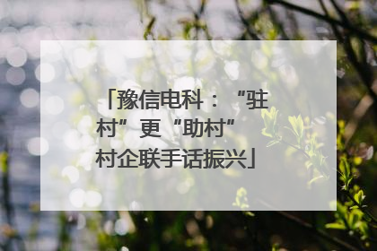 豫信电科：“驻村”更“助村” 村企联手话振兴
