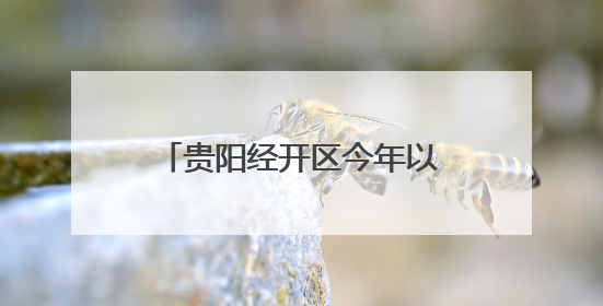 贵阳经开区今年以来新签约项目合同投资52.64亿元
