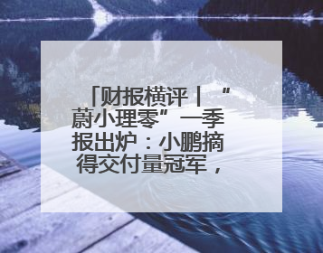 财报横评丨“蔚小理零”一季报出炉：小鹏摘得交付量冠军，理想最能赚钱，零跑迎头赶上，蔚来还在调整