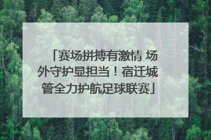 赛场拼搏有激情 场外守护显担当！宿迁城管全力护航足球联赛