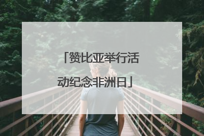赞比亚举行活动纪念非洲日