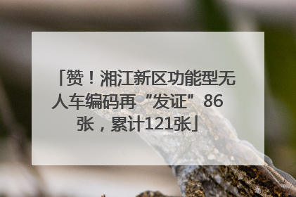 赞！湘江新区功能型无人车编码再“发证”86张，累计121张