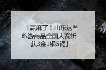 赢麻了！山东这些旅游商品全国大赛斩获3金1银5铜