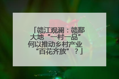 赣江观澜：赣鄱大地“一村一品”何以推动乡村产业“百花齐放”？