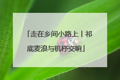 走在乡间小路上丨祁底麦浪与机杼交响