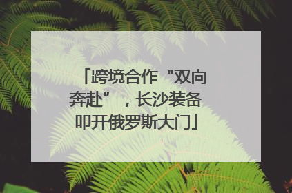 跨境合作“双向奔赴”，长沙装备叩开俄罗斯大门