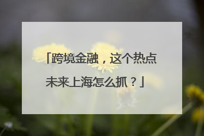 跨境金融，这个热点未来上海怎么抓？