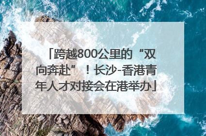 跨越800公里的“双向奔赴”！长沙-香港青年人才对接会在港举办
