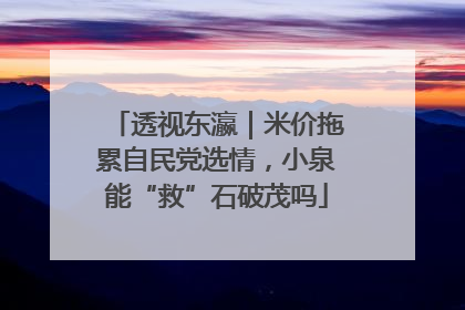 透视东瀛｜米价拖累自民党选情，小泉能“救”石破茂吗