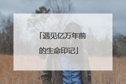 遇见亿万年前的生命印记