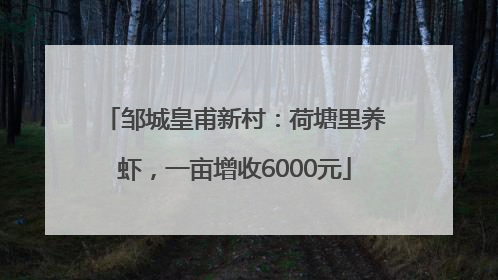 邹城皇甫新村：荷塘里养虾，一亩增收6000元