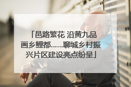 邑路繁花 沿黄九品 画乡鲤都……聊城乡村振兴片区建设亮点纷呈