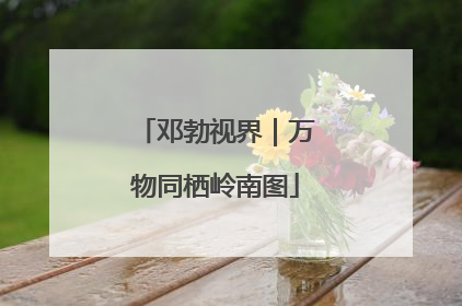 邓勃视界｜万物同栖岭南图