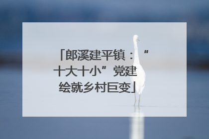 郎溪建平镇：“十大十小”党建 绘就乡村巨变