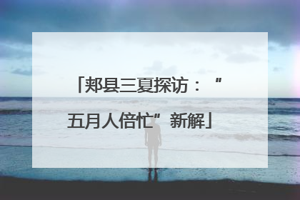 郏县三夏探访：“五月人倍忙”新解