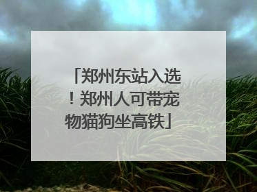 郑州东站入选！郑州人可带宠物猫狗坐高铁