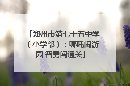 郑州市第七十五中学（小学部）：哪吒闹游园 智勇闯通关