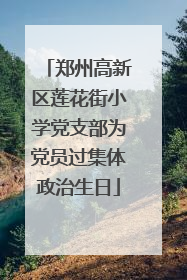 郑州高新区莲花街小学党支部为党员过集体政治生日
