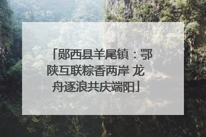 郧西县羊尾镇：鄂陕互联粽香两岸 龙舟逐浪共庆端阳