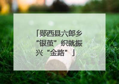 郧西县六郎乡“银茧”织就振兴“金路”