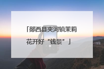 郧西县夹河镇茉莉花开好“钱景”