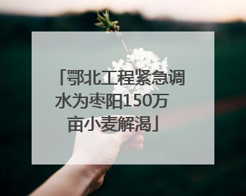 鄂北工程紧急调水为枣阳150万亩小麦解渴