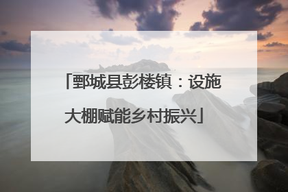 鄄城县彭楼镇：设施大棚赋能乡村振兴