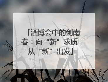 酒博会中的剑南春：向“新”求质 从“新”出发