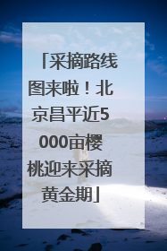 采摘路线图来啦！北京昌平近5000亩樱桃迎来采摘黄金期