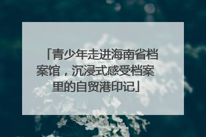 青少年走进海南省档案馆，沉浸式感受档案里的自贸港印记