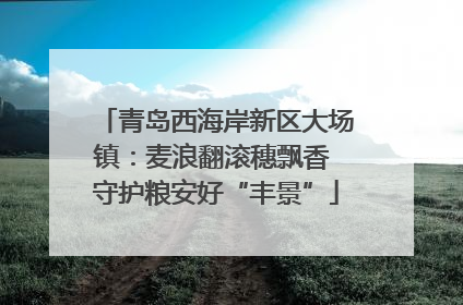 青岛西海岸新区大场镇：麦浪翻滚穗飘香 守护粮安好“丰景”