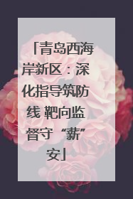 青岛西海岸新区：深化指导筑防线 靶向监督守“薪”安