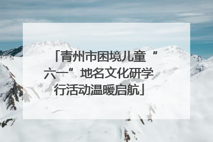 青州市困境儿童“六一”地名文化研学行活动温暖启航