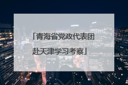 青海省党政代表团赴天津学习考察