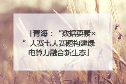 青海：“数据要素×”大赛七大赛题构建绿电算力融合新生态