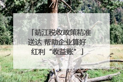 靖江税收政策精准送达 帮助企业算好红利“收益账”