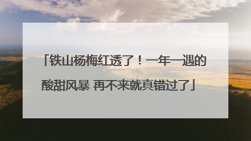 铁山杨梅红透了！一年一遇的酸甜风暴 再不来就真错过了