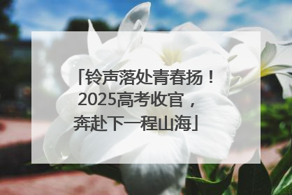 铃声落处青春扬！2025高考收官，奔赴下一程山海