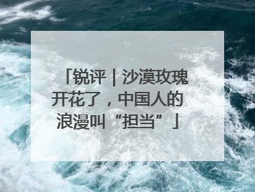 锐评｜沙漠玫瑰开花了，中国人的浪漫叫“担当”