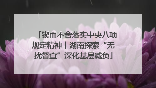 锲而不舍落实中央八项规定精神丨湖南探索“无扰督查”深化基层减负