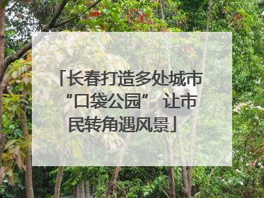 长春打造多处城市“口袋公园” 让市民转角遇风景