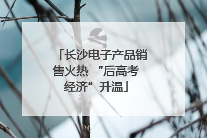 长沙电子产品销售火热 “后高考经济”升温