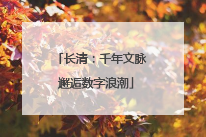 长清：千年文脉邂逅数字浪潮