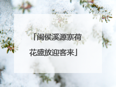 闽侯溪源寨荷花盛放迎客来