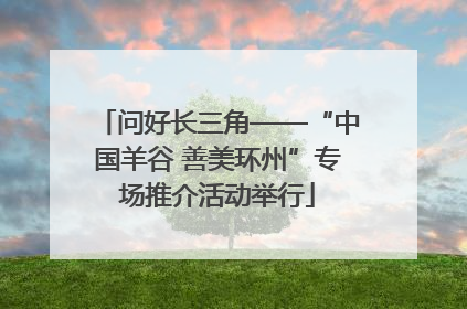 问好长三角——“中国羊谷 善美环州”专场推介活动举行