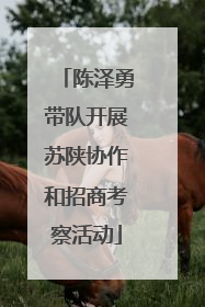 陈泽勇带队开展苏陕协作和招商考察活动